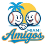Miami Amigos